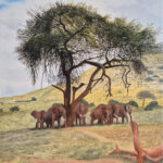 Elefanter på savannen. 70x50 cm, Olie på lærrede