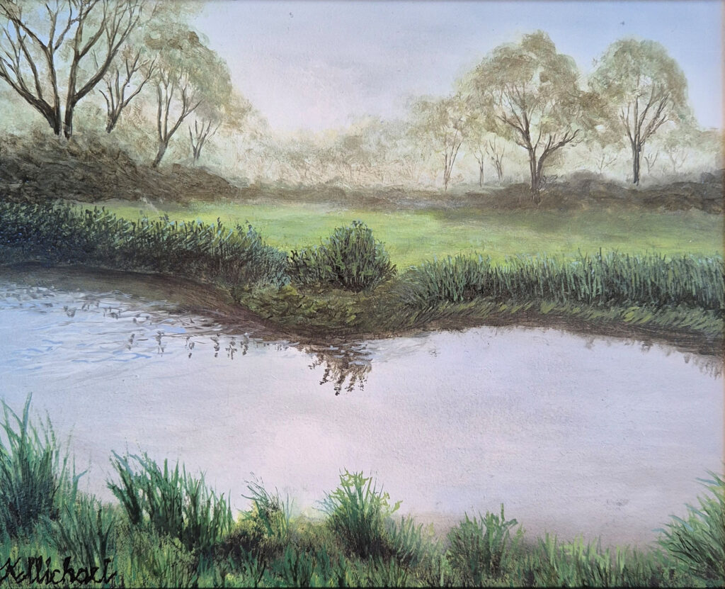 vejleå efterårs morgen